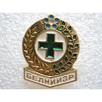 БЕЛНИИЗР