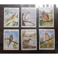 Куба. 1987 год. Фауна. Птицы (434)