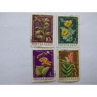 Лекарственные растения.