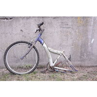 Велосипед. С 1 рубля