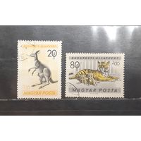 Венгрия. 1961 год. Фауна. Зоопарк Будапешта (2 марки из серии) (1184)