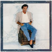 LP Julio Iglesias 'Starry Night'