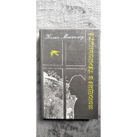 Колин Маккалоу. Поющие в терновнике