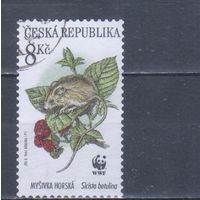 [943] Чехия 1996. Фауна.Лесная мышовка. Концовка серии.Гашеная марка.