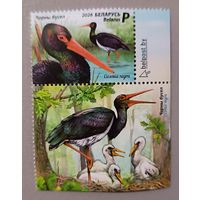 Черный аист. Серия из 1 марки с купоном, 2026