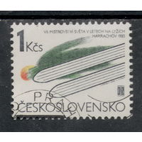 Марка Чехословакия СПОРТ лыжи