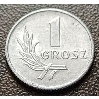 Польша 1 грош, 1949    ( 1-3-2 )