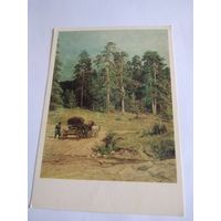 Открытка 1977г. И. Шишкин. Полесье.