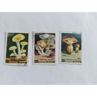 КНДР 1988  3м .грибы