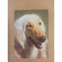 Календарь 1991 Афганская борзая