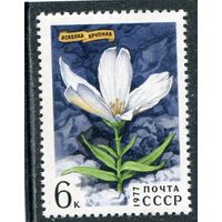 СССР 1977. Флора. Цветы. Асколка крупная