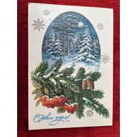 С Новым годом! 1986 год. Ю. Куртенко Подписана!