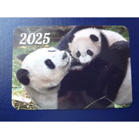 Календарик 2025 г.  Панды.