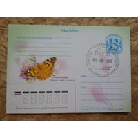 СГ Беларусь. 2012. Беловежская пуща. Бабочка