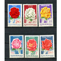 Румыния - 1970 - Розы - [Mi. 2868-2873] - полная серия - 6 марок. MNH.  (Лот 94Gx)-T4P27