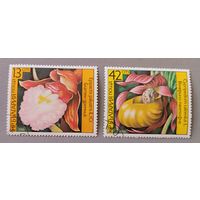 Орхидеи. Болгария, 1986