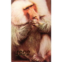 Календарики Обезьяны