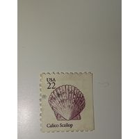 США 1985 Атлантический гребешок калико (Argopecten gibbus).