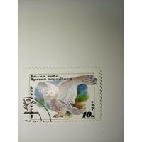 СССР, 1990, СОВЫ, Белая сова