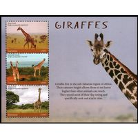 2017 Танзания 5392-5394KL Фата - Жираф 18,00 евро
