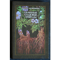 В.И.Мурок Л.И.Стекольников Целебные кладовые природы.