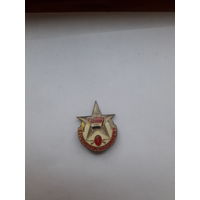 Знак Венгрия Армия Комсомол За наше соц. отечество 1 ст