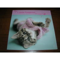 С Днем рождения Котенок Рэчел Хэйл 2011 год Двойная подписана