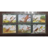 Куба. 1976 год. Фауна. Птицы (436)