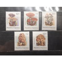 Аргентина. Флора. Грибы (995)