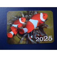 Календарик 2025 г.  Рыбы.