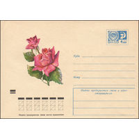 Художественный маркированный конверт СССР  N 8462 (20.09.1972) Роза