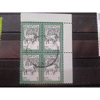 Беларусь, 2002. Стандарт, зубр, кварт-блок