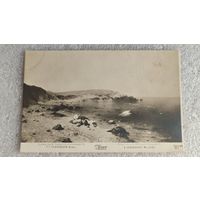 Открытка Штиль Судковский изд Ришар СПб Русский музей до 1917 Открытое письмо
