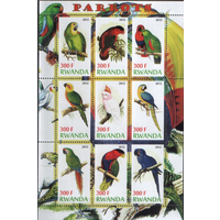 ПОПУГАЙЧИКИ,МЛ **