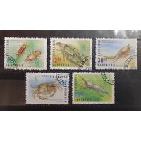 Болгария. 1996 год. Морская фауна. Ракообразные (32)