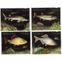 Польша 2016. Рыбы. 4 марки 4861-64