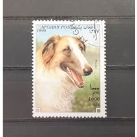 Афнанистан. 1998 год. Фауна. Собаки. Борзая