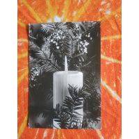 Открытка черно-белая с наклеенной маркой. Прошла почту,подписана. Состояние на скане.