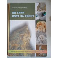 Не тяни кота за хвост