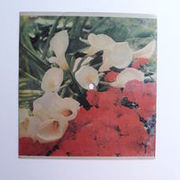 Гибкая пластинка с песней "Белоруссия" Исп. Песняры. Студия звукозаписи Киев.