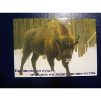 Календарик 2003 г.  Беловежская пуща - мировое наследие человечества.