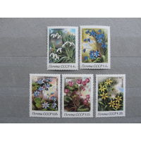 Продажа коллекции с 1 рубля! Чистые почтовые марки СССР в коллекционном**состоянии.