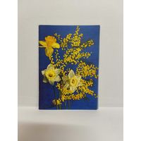 Двойная почтовая открытка для телеграмм, 1972г., б/у. Серия В-21. Фото Г. Костенко. 14