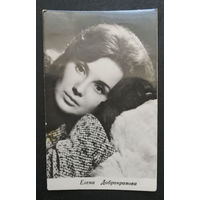 Елена Добронравова. Фотографии артиcтов #0048-Ф01P24