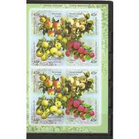 ФФ3 Россия 2019 Яблоки самоклейки