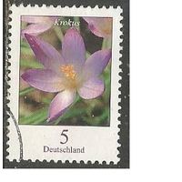 Германия. Цветы. Крокус. 2005г. Mi#2480.