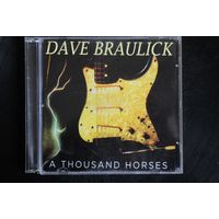 Dave Braulick – A Thousand Horses (2013, CD)