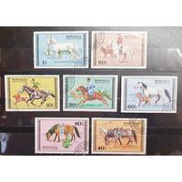 Монголия. 1977 год. Фауна. Лошади. Всадники (1313)