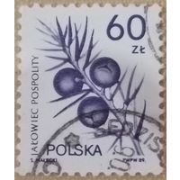 Польша 1989. Можевельник