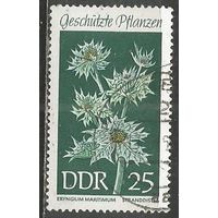 ГДР. Цветы. Синеголовик приморский. 1969г. Mi#1460.